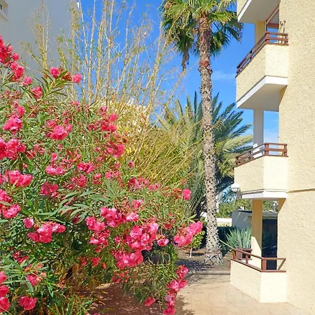 Juncos I Playa del Ingles (Gran Canaria)
